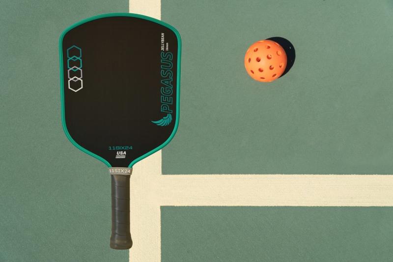 vot pickleball,  mua vot pickleball,  vot cho nguoi moi,  goi y vot pickleball anh 4