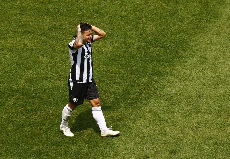 Palmeiras dau Botafogo anh 3