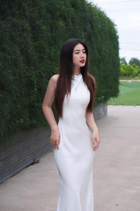 le thu hoa,  hoa hau hoan vu,  miss cosmo anh 10