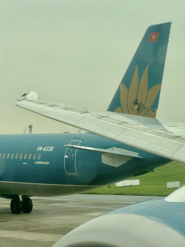 Diep Lam Anh,  may bay va quet,  Vietnam Airlines anh 1