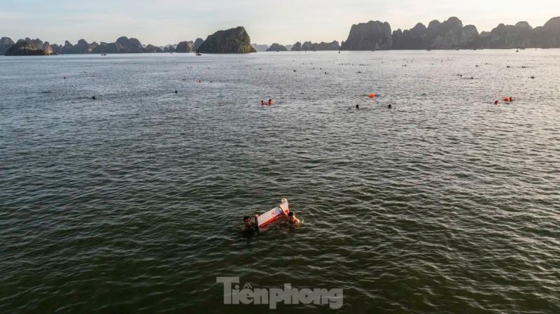 TP Ha Long anh 8