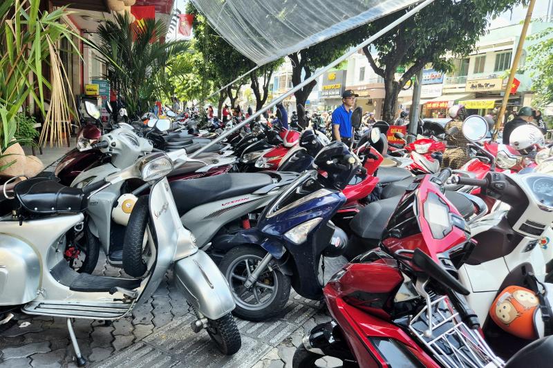 ca phe gau bong anh 6