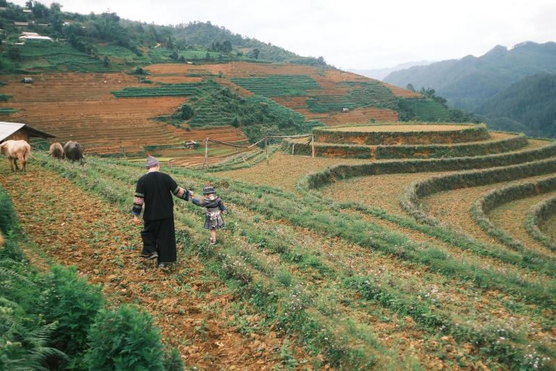 Pam Yeu Oi anh 7