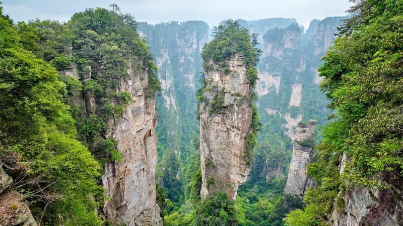 rac thai Truong Gia Gioi anh 1