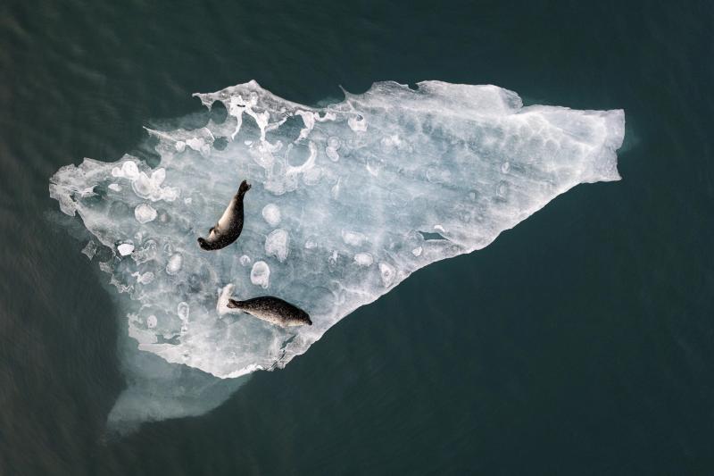 International Aerial Photographer anh 6