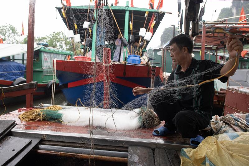 tranh bao o quang ninh anh 2