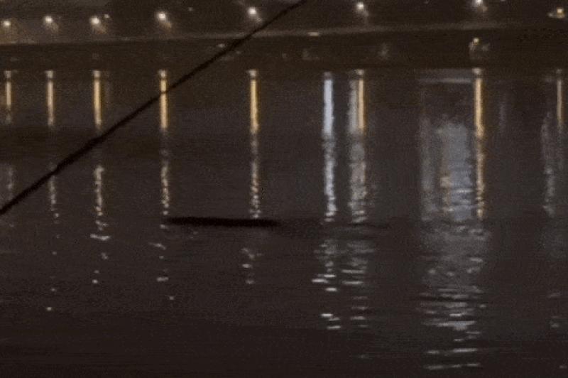 Quai vat song Han anh 1