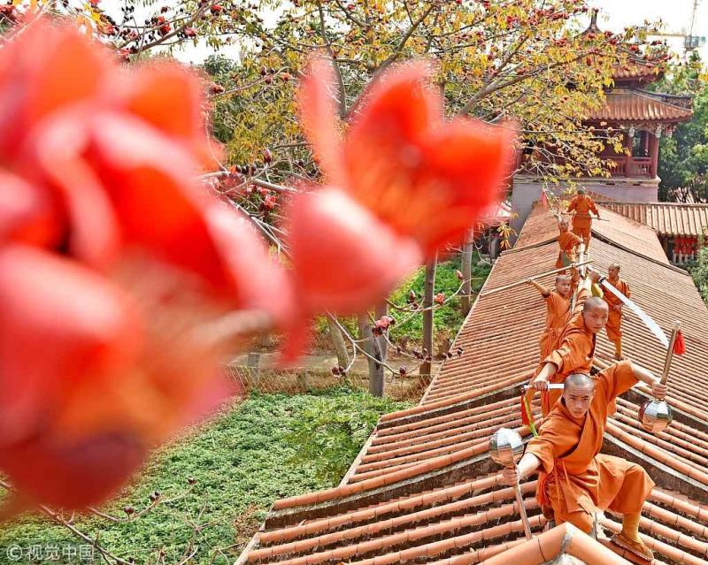Thieu Lam Tu anh 5