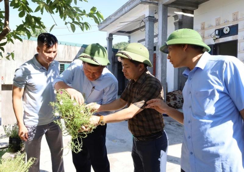 o dich sot xuat huyet anh 2