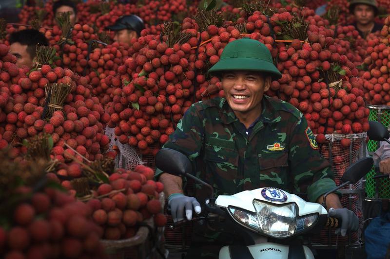 vai thieu anh 13