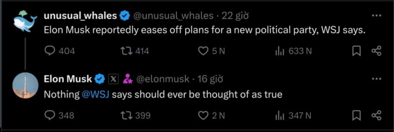 Elon Musk, anh 1