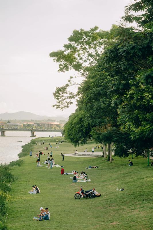 bai co o Hue anh 2