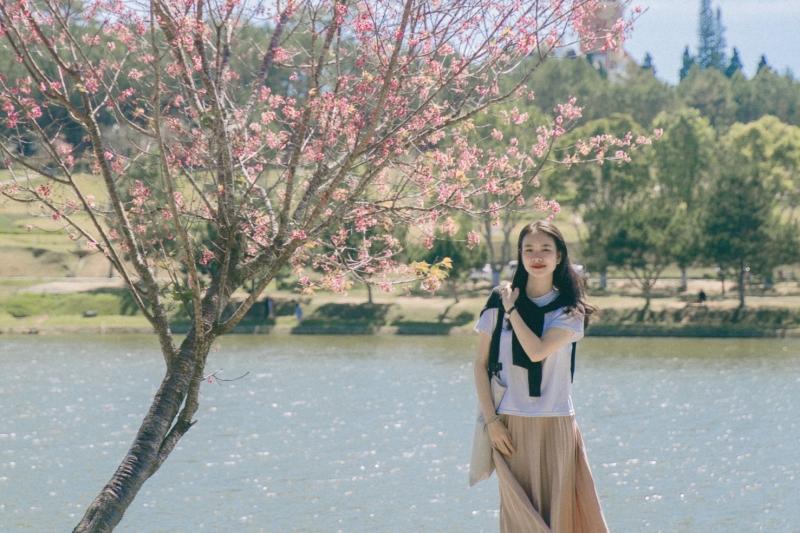 khach san dip 2/9 anh 1