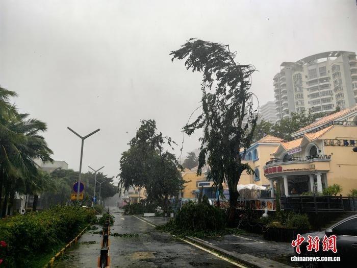 Dao Hai Nam bao Kajiki anh 13