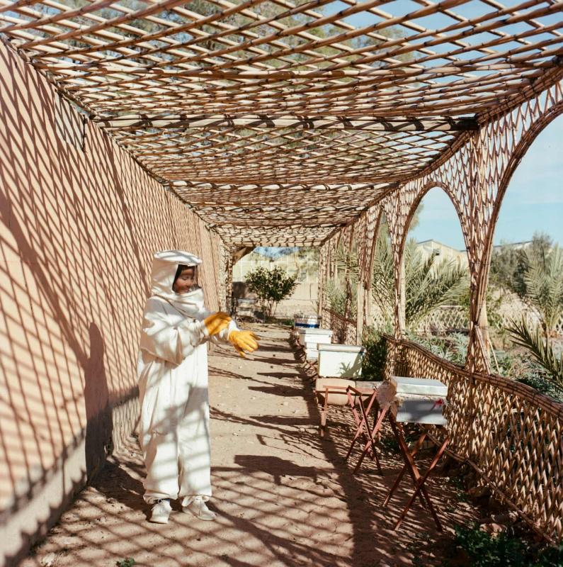 Oc dao Morocco anh 10