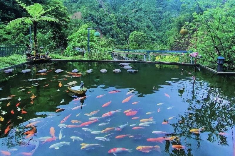 sam hotel lao cai anh 5