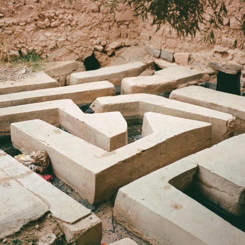 Oc dao Morocco anh 6