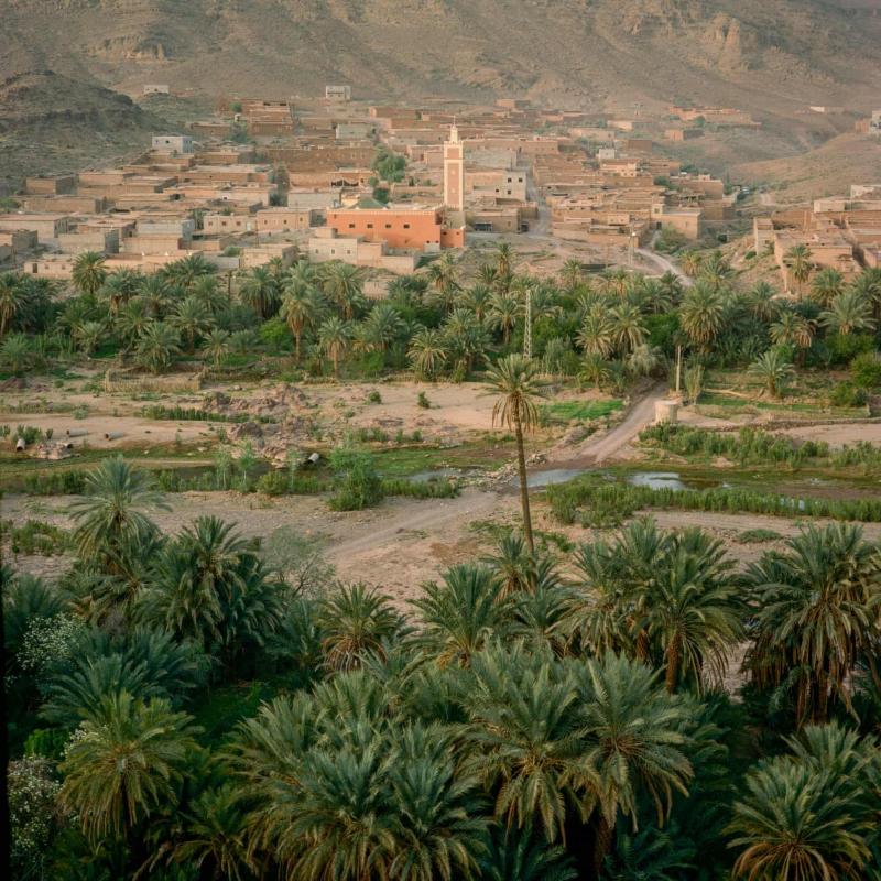 Oc dao Morocco anh 1