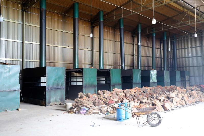 trau gac bep anh 4