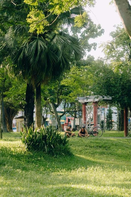 bai co o Hue anh 11