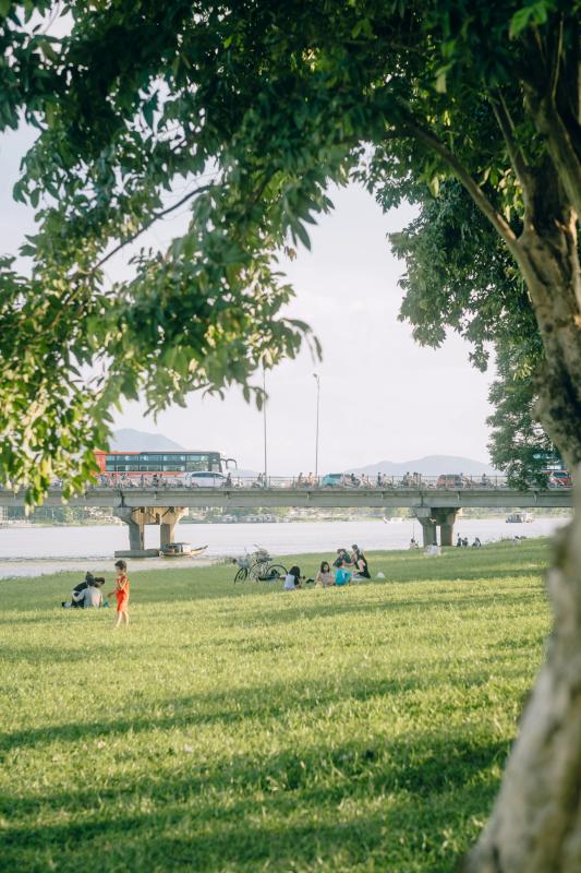 bai co o Hue anh 14