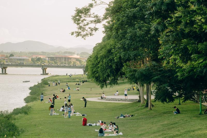 bai co o Hue anh 1