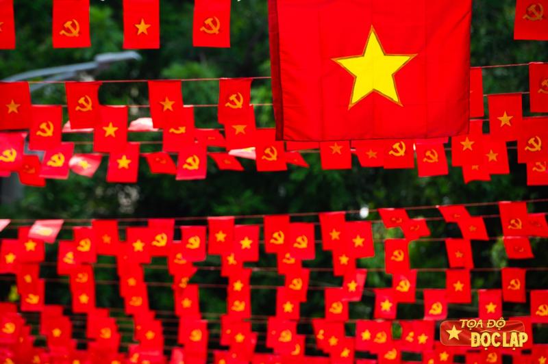 ha noi treo co hoa anh 8