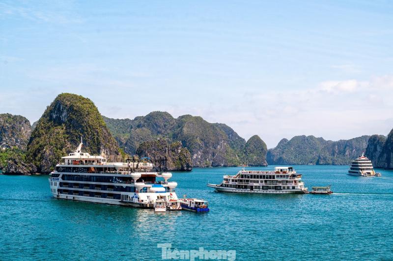vinh ha long anh 1