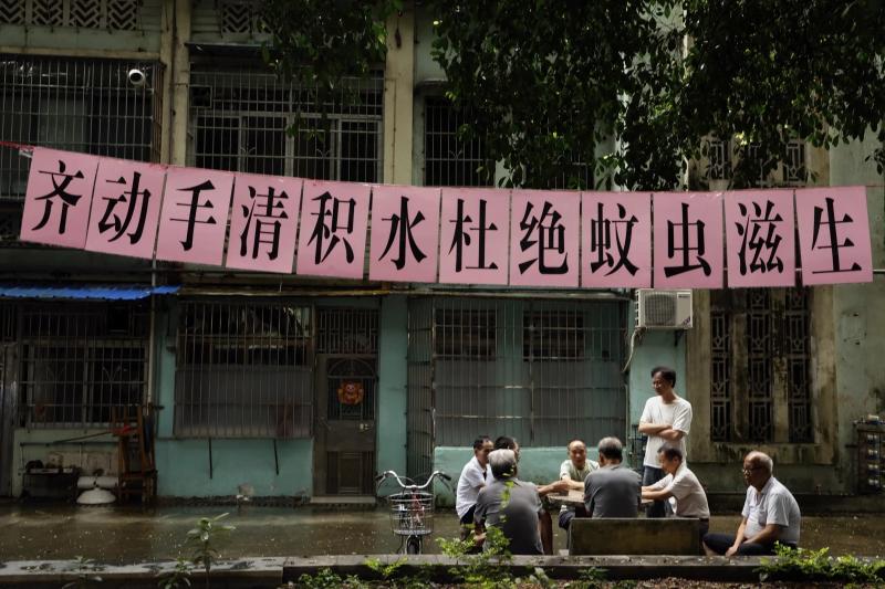 dich benh Chikungunya anh 3