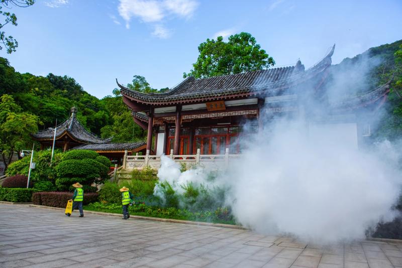 dich benh Chikungunya anh 2