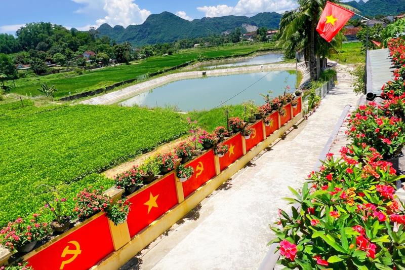 trang tri co to quoc anh 1