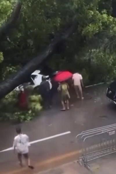 mua lon o Ha Noi anh 2