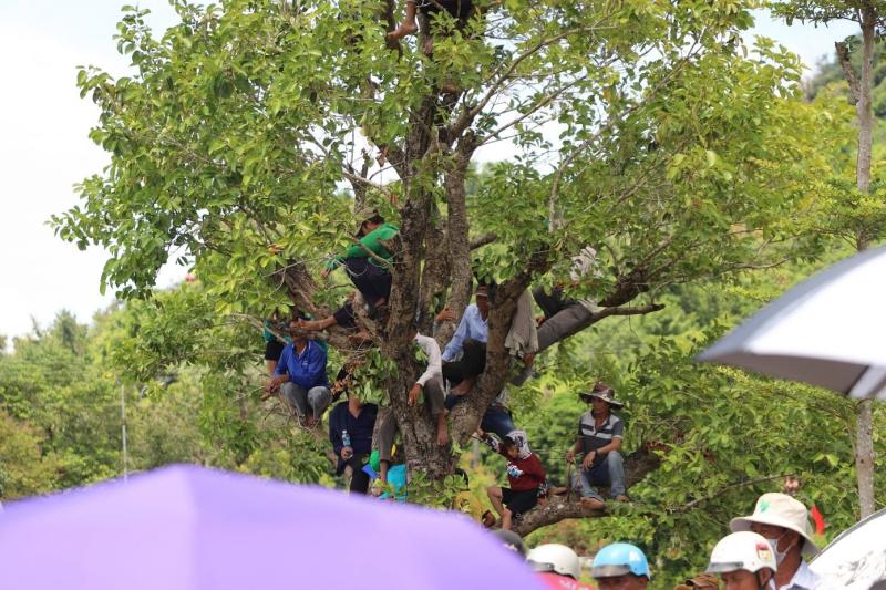 Hoi dua bo Bay Nui anh 13