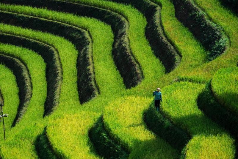 Mu Cang Chai anh 7