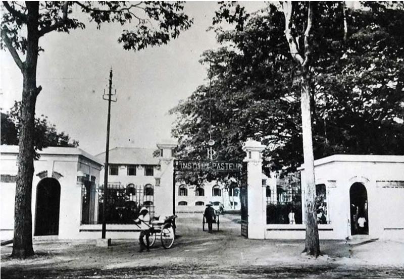 Vien Pasteur TP.HCM anh 8