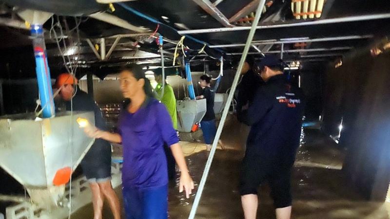lu lut thai lan anh 1