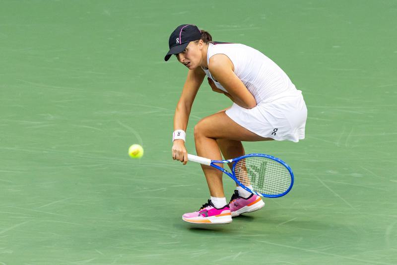 Anisimova anh 1