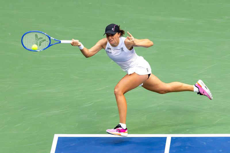 Anisimova anh 2