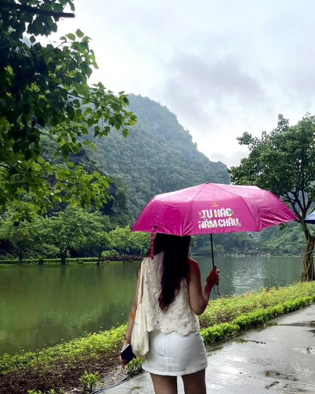 Vifon anh 10