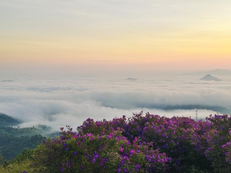 Doi sim Suoi Bon anh 8