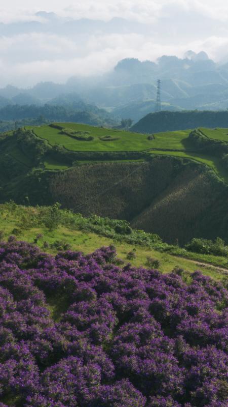 Doi sim Suoi Bon anh 12