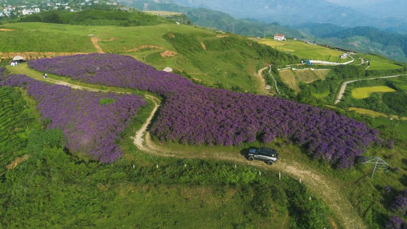 Doi sim Suoi Bon anh 3