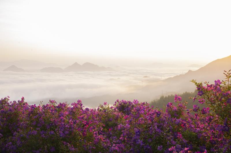 Doi sim Suoi Bon anh 5