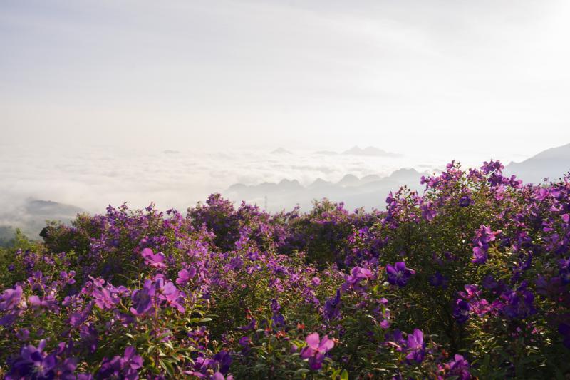 Doi sim Suoi Bon anh 9
