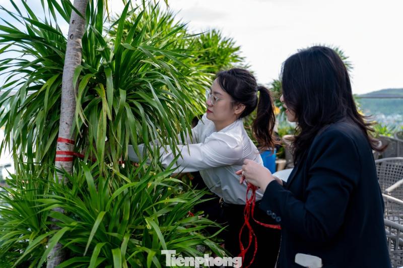 sieu bao Ragasa anh 7