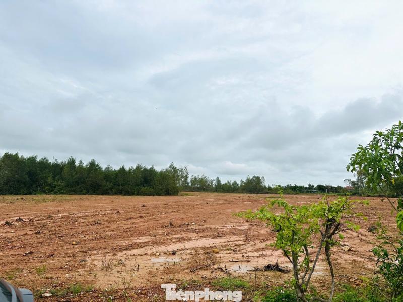 co dat,  rao ban,  thoi gia anh 4