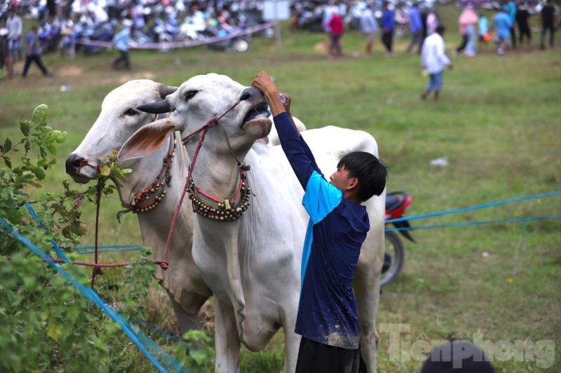 Hoi dua bo Bay Nui anh 16