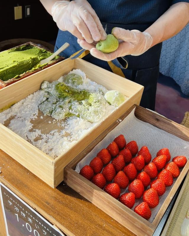 trend gia mochi anh 5