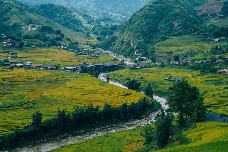 mua lua Tay Bac anh 1