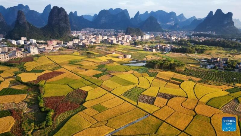 Mua thu Trung Quoc anh 5